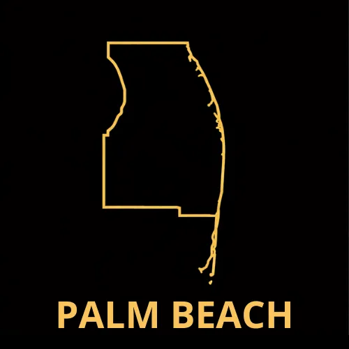 palm beach county icon